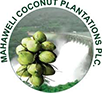 Mahaweli Coconut Plantation